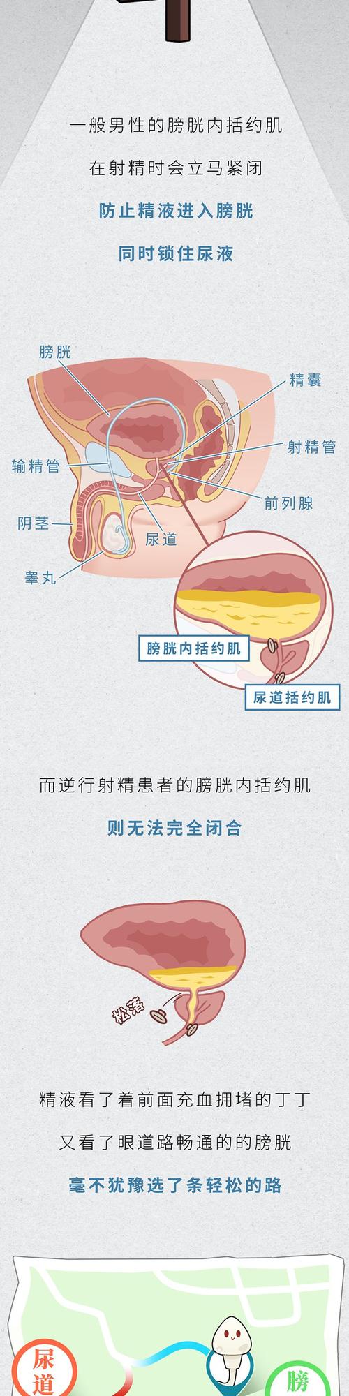 男性精子问题