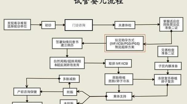  医疗程序
【描述】：本文为您提供一份详细的指南，帮助了解并准备成功办理试管婴儿所需的相关证件，包括身份证明、结婚证、生育证明等，确保试管婴儿过程的顺利进行。