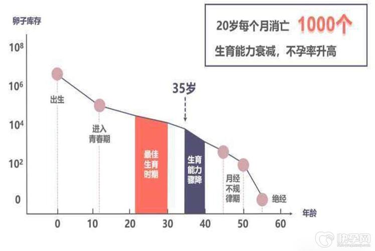 试管婴儿为何没有成为主流生育方式？