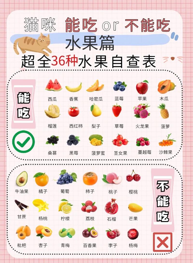 试管婴儿饮食指南：薯片能吃吗？