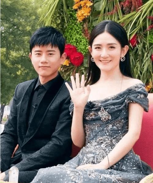 张杰谢娜试管婴儿揭秘：真相还是谣言？