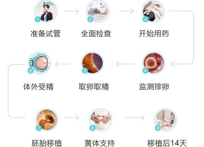 揭秘试管婴儿：什么时候可以开始？