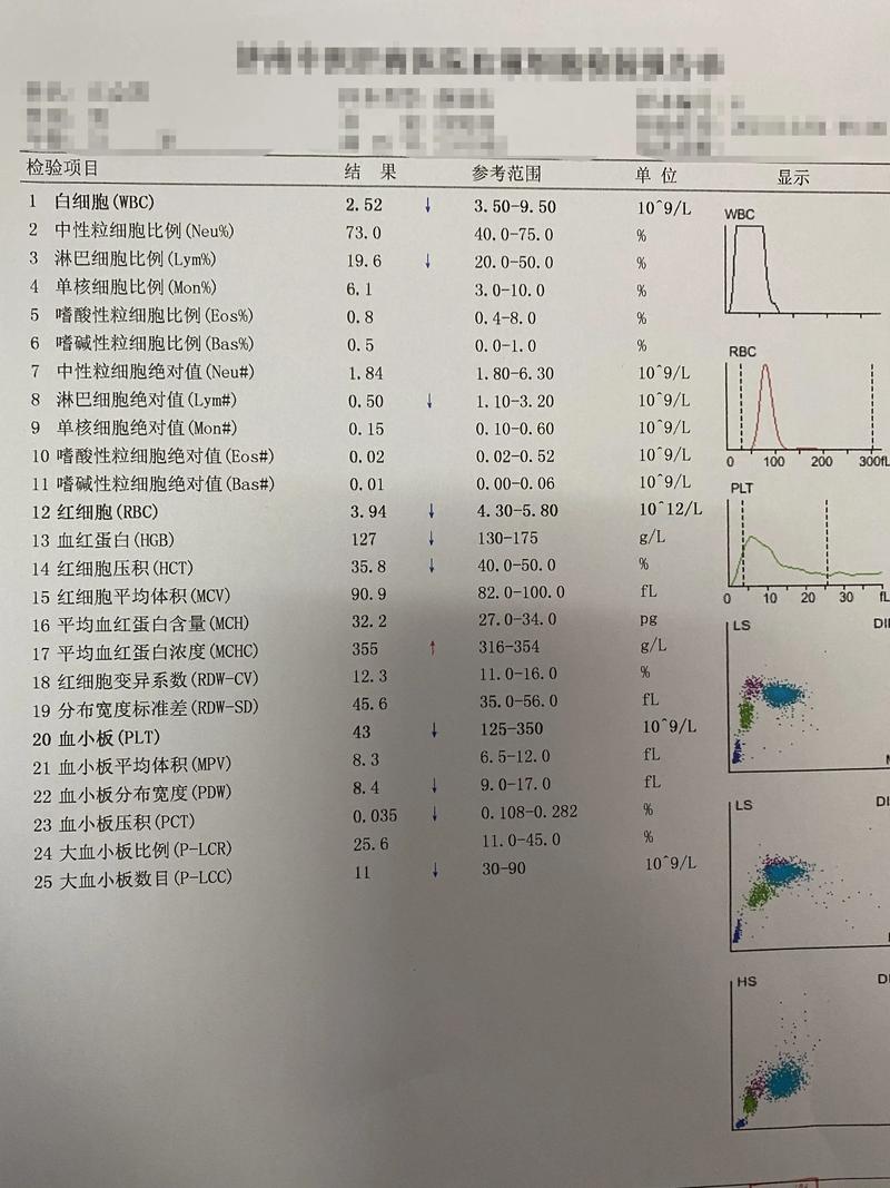 化验单