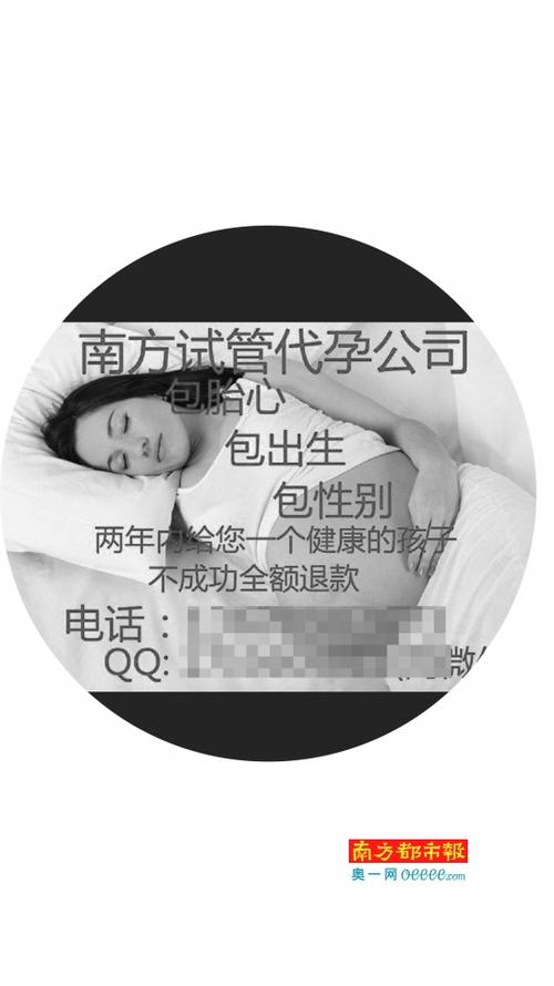 试管婴儿中介