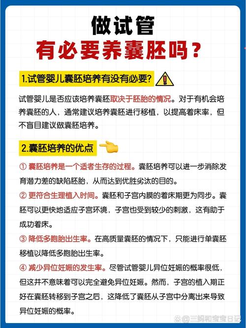 试管婴儿的培养液如何影响胚胎发育？