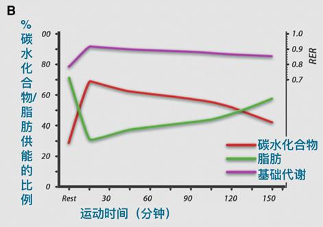 碎片比例