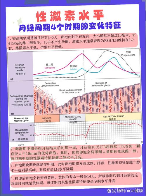  激素水平