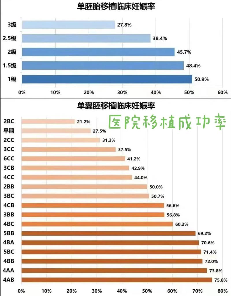  胚胎移植成功率