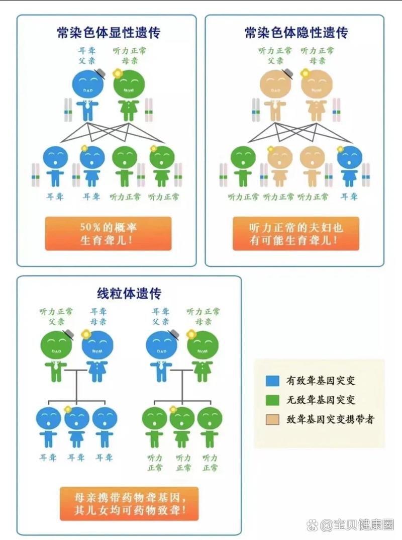 试管婴儿、先天性聋、生殖医疗