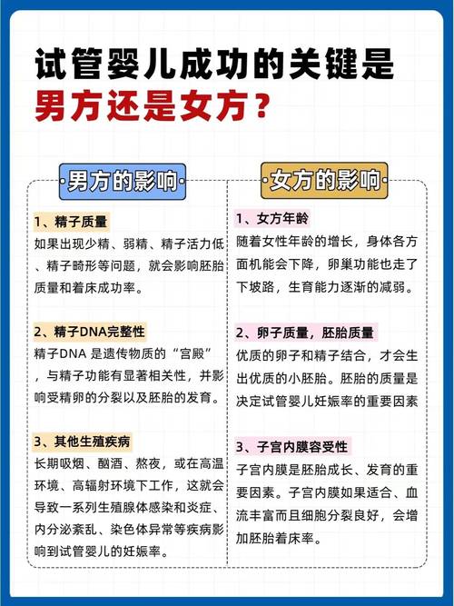 试管婴儿成功率提高的关键因素是什么？