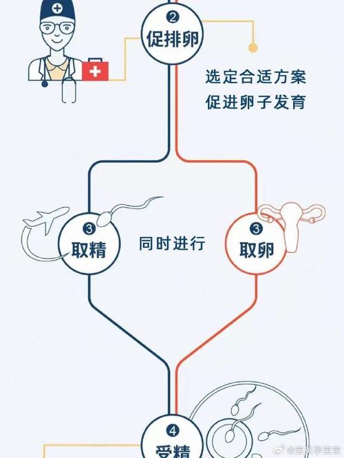 试管婴儿着床过程全解析：几天能成功？