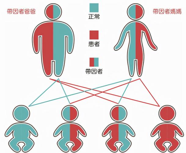 近亲繁殖风险