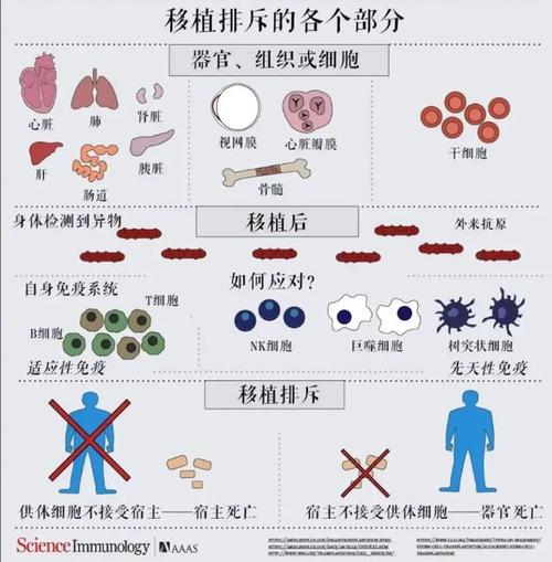 排异反应