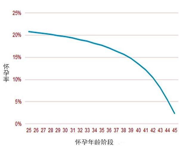  怀孕成功率