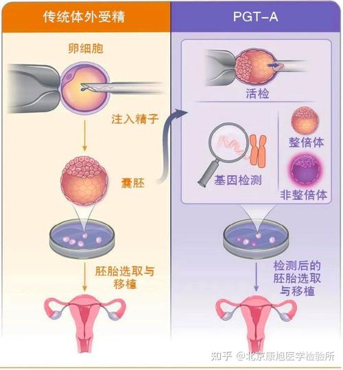 台湾试管婴儿、生殖医学、医疗技术、不孕不育