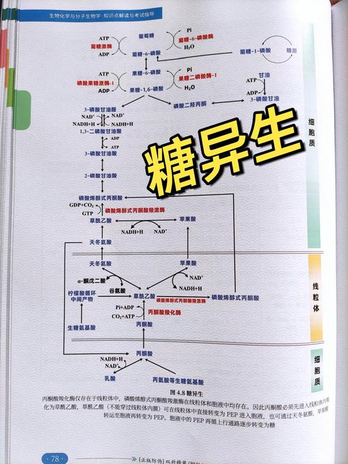 生化现象