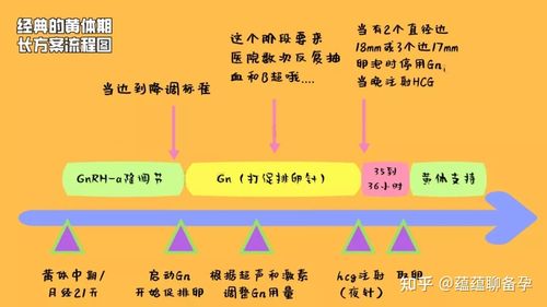  降调节方案