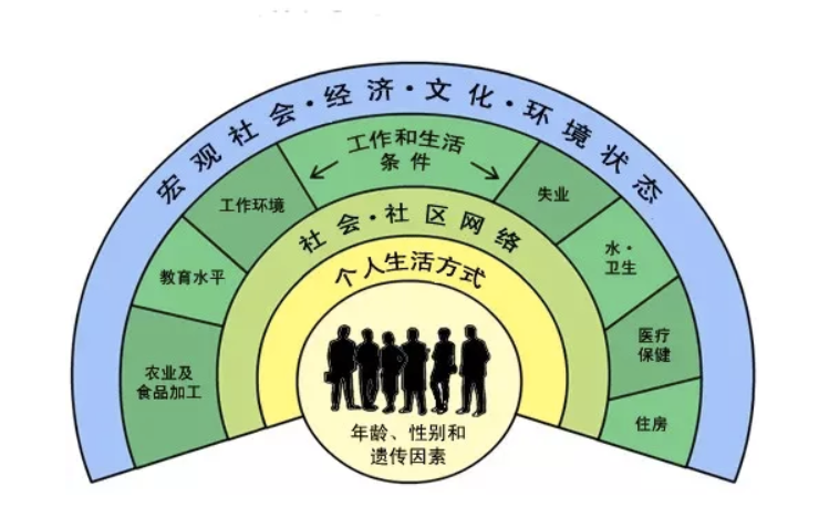  社会文化因素