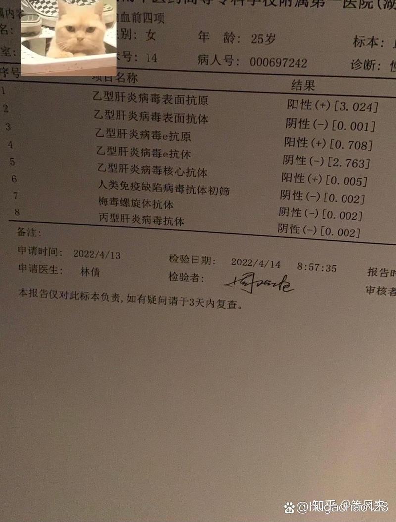 乙肝携带者如何顺利进入试管婴儿周期？