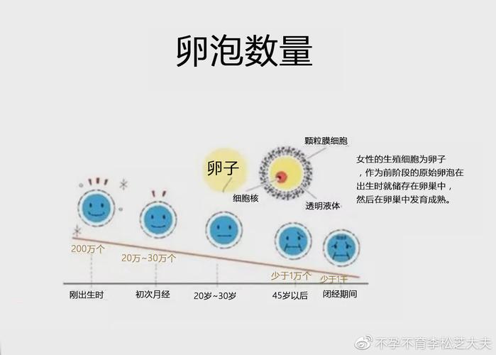 卵泡数量不足