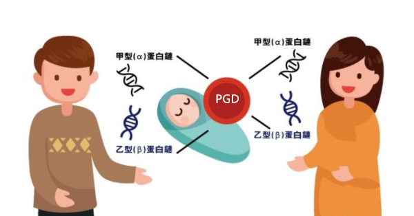  PGD筛查