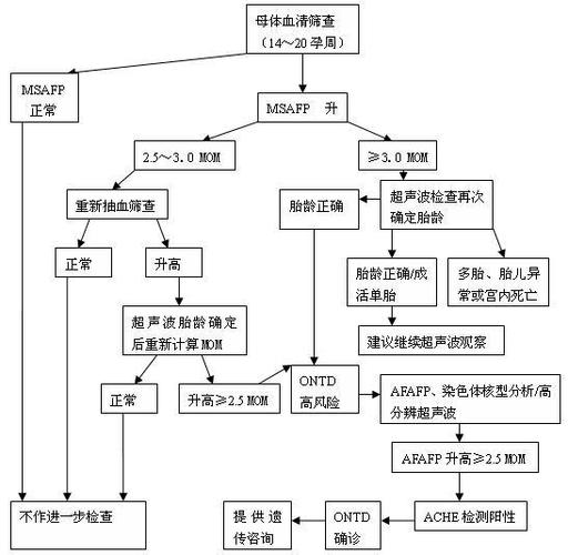  神经管缺陷