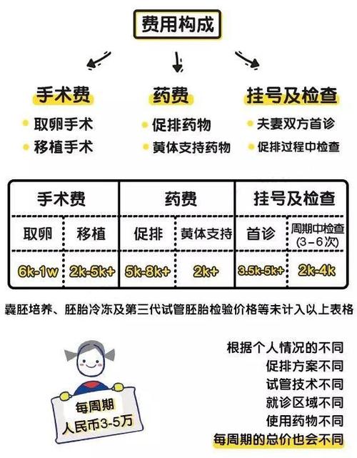 试管婴儿费用揭秘：是否真的要十万元？