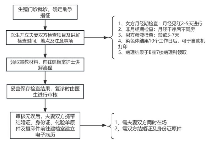 山东试管婴儿、医疗生殖、试管婴儿技术