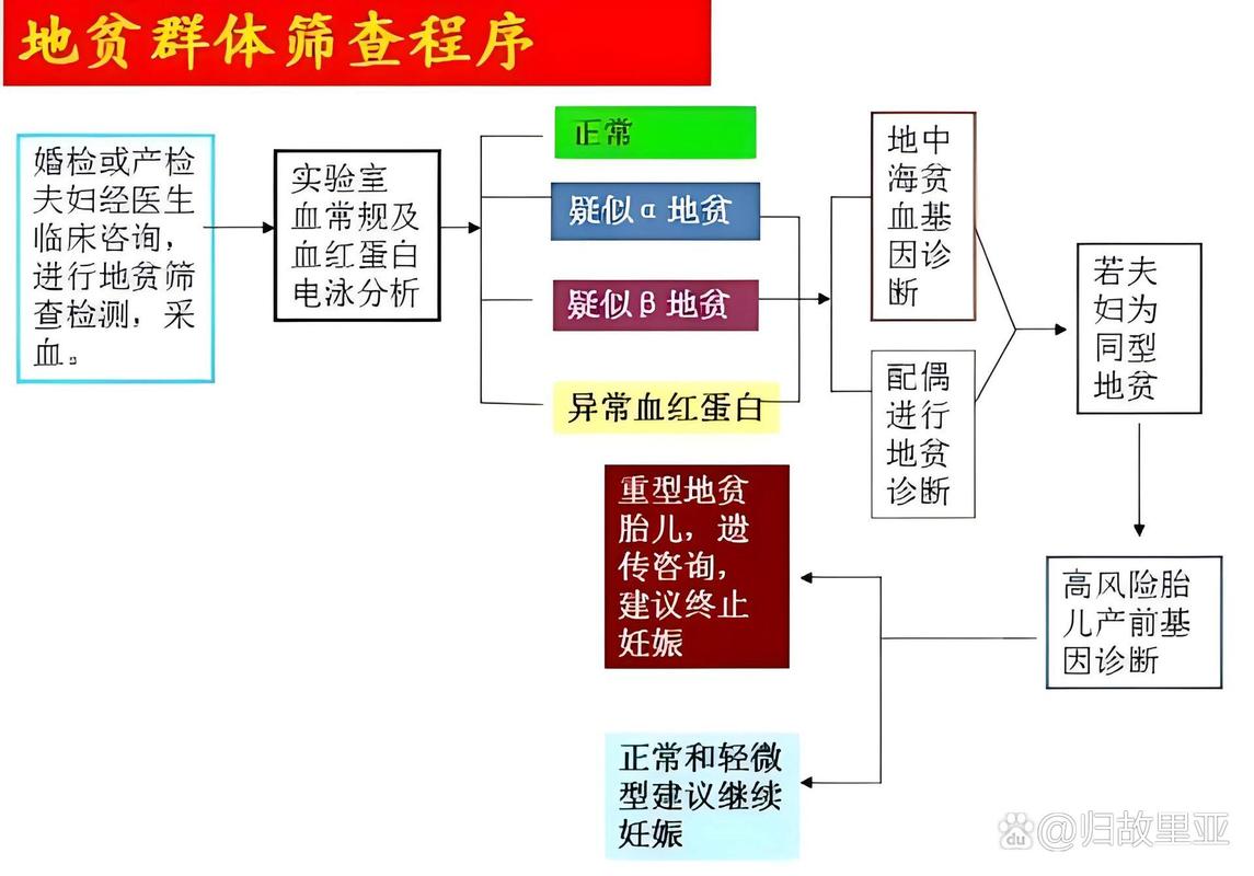 地贫基因