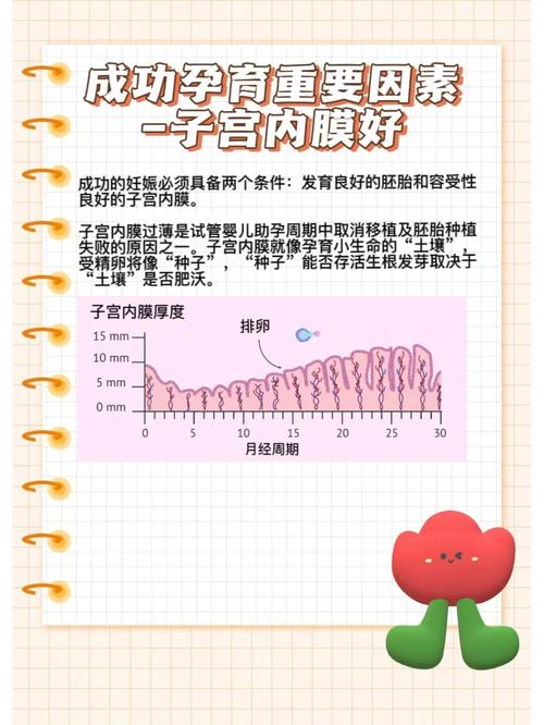 内膜薄是否会影响试管婴儿的成功率？