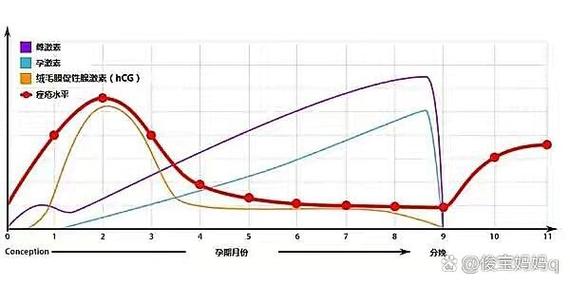  荷尔蒙变化