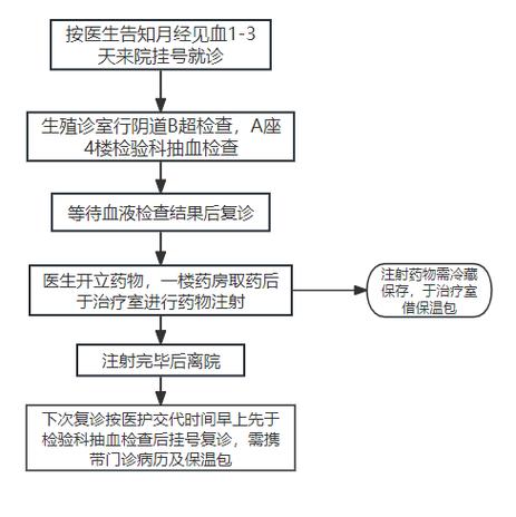 视频指南：试管婴儿就诊流程详解