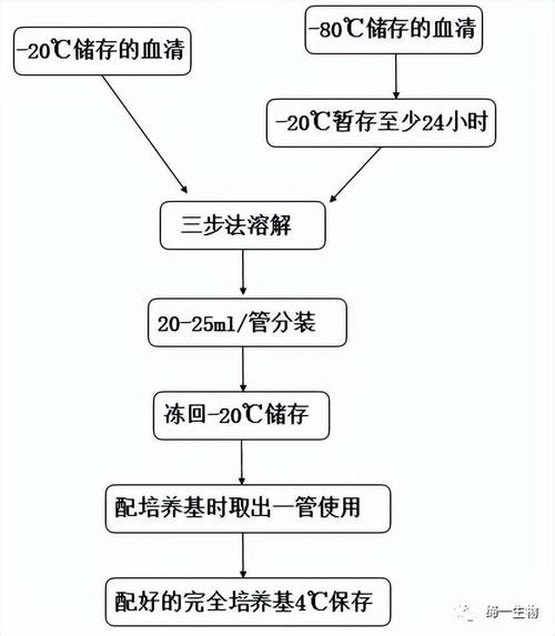 解冻过程