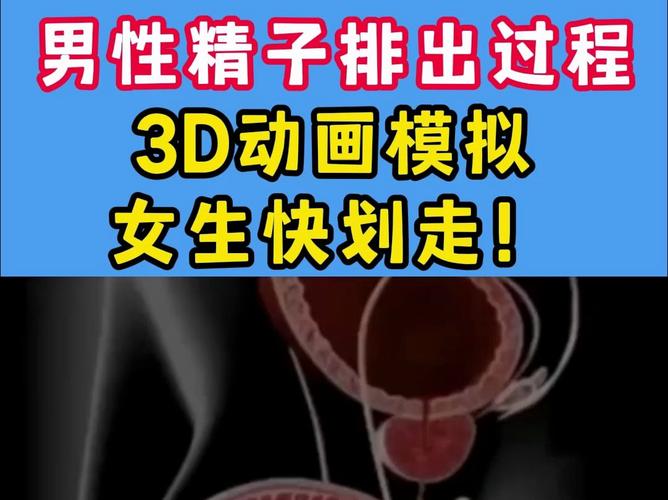 男性精子获取方法