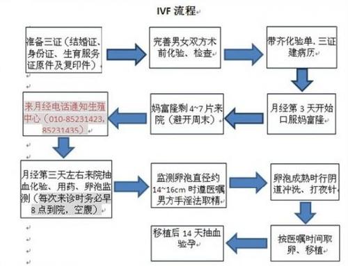 试管婴儿监护权