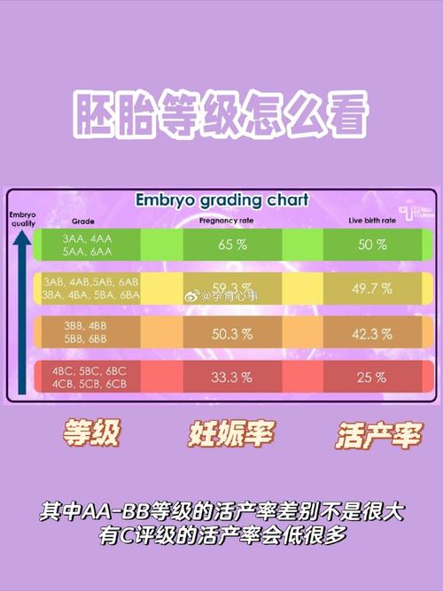 试管婴儿囊胚移植：放几个才合适？