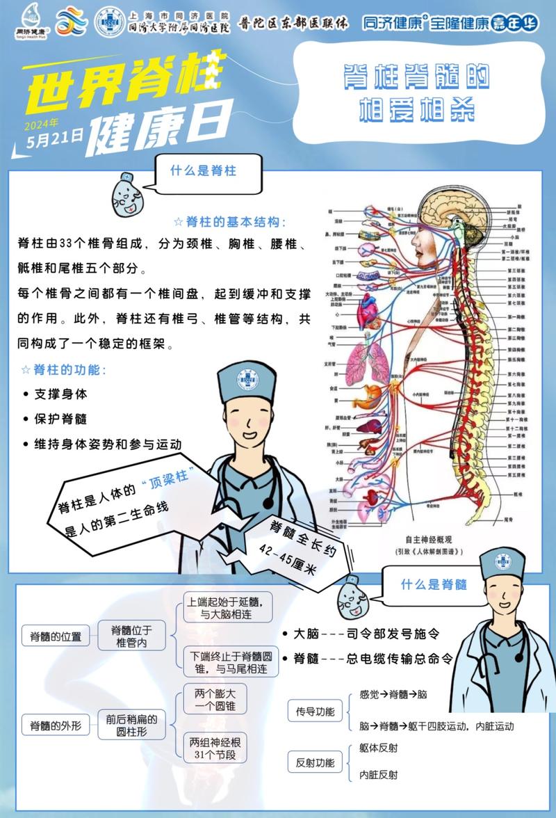 脊柱健康