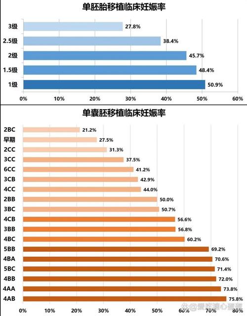 1995年出生，满足试管婴儿条件吗？