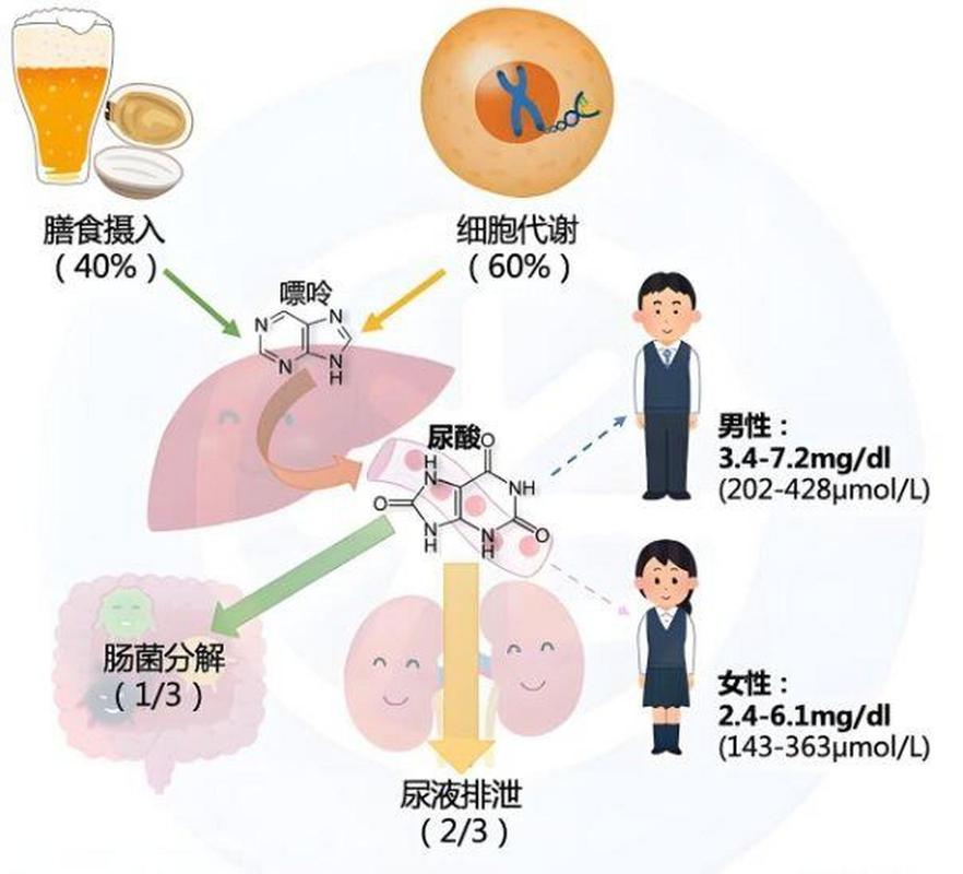 代谢异常