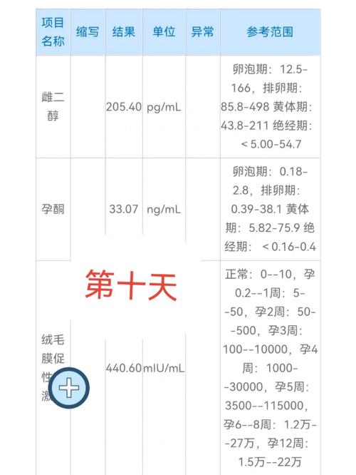 试管婴儿怀孕抽血检查的时间安排