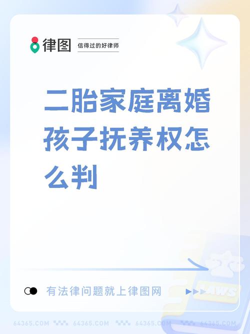 离婚后试管婴儿的监护权判决问题