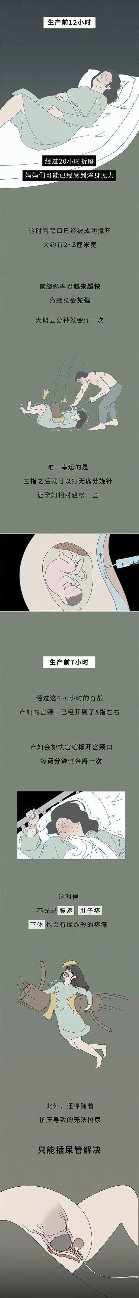 女性生育角色