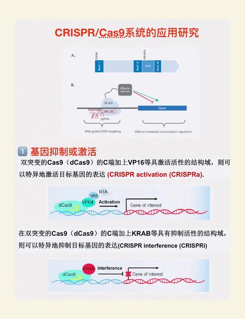 基因阻断技术