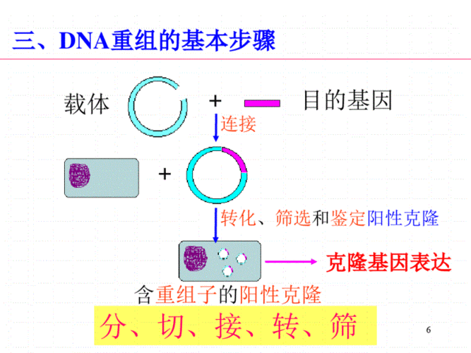  重组技术