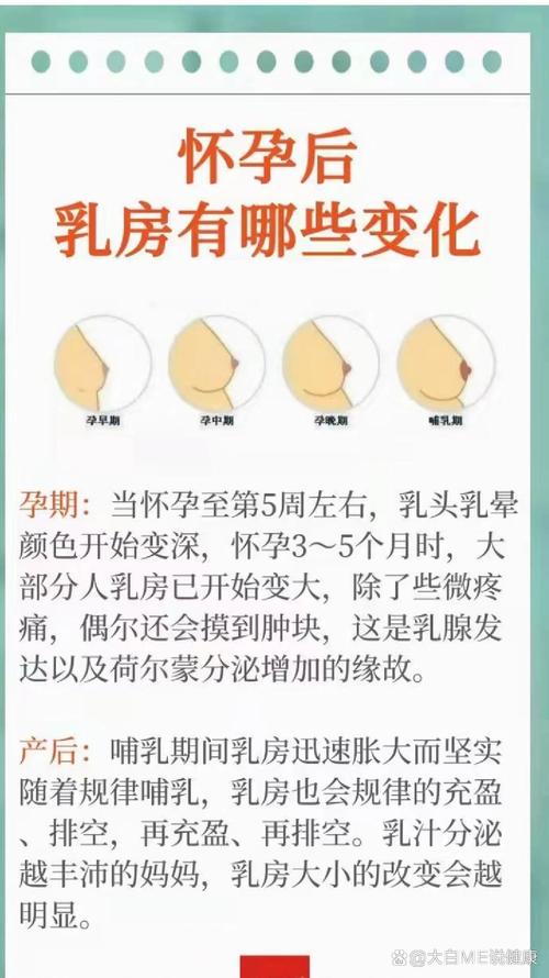  乳房变化