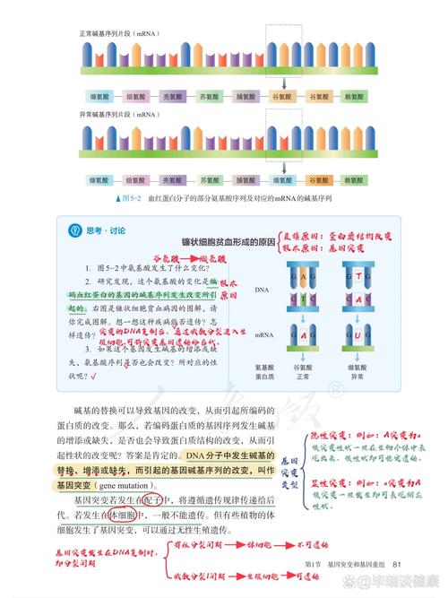  基因重组