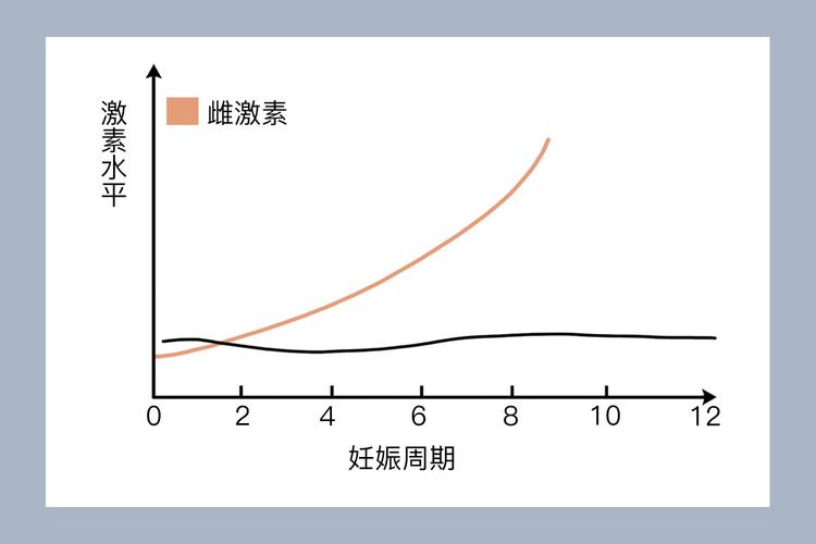  孕激素水平