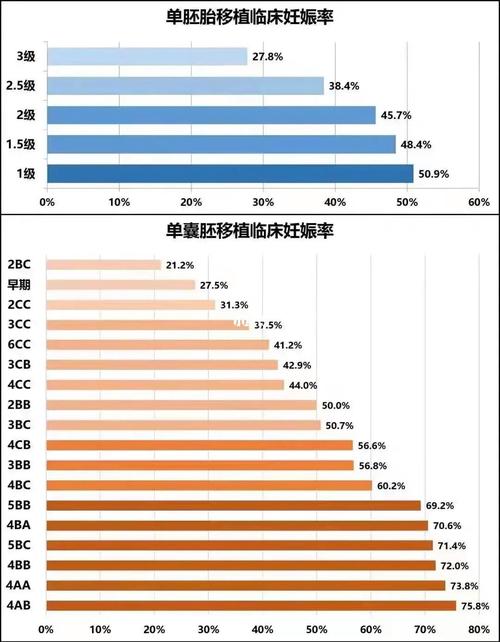 <试管婴儿成功率>