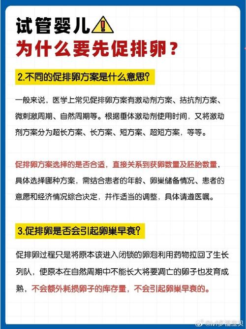 试管婴儿促排卵需要多少个卵子？