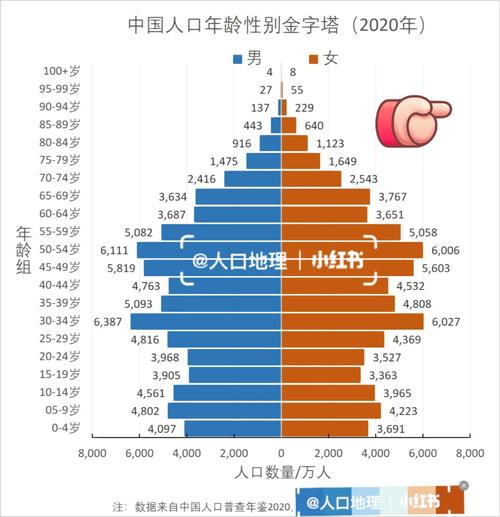 人口结构